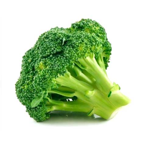 Broccoli, cooked, boiled, drained, without salt