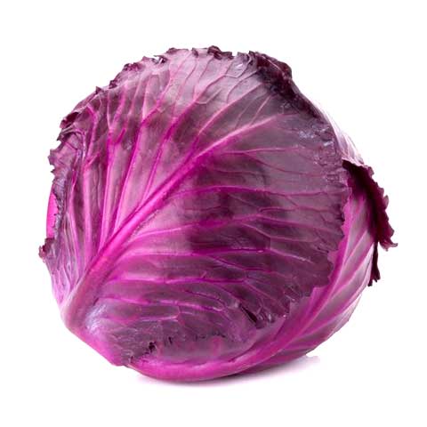 Cabbage, red, raw