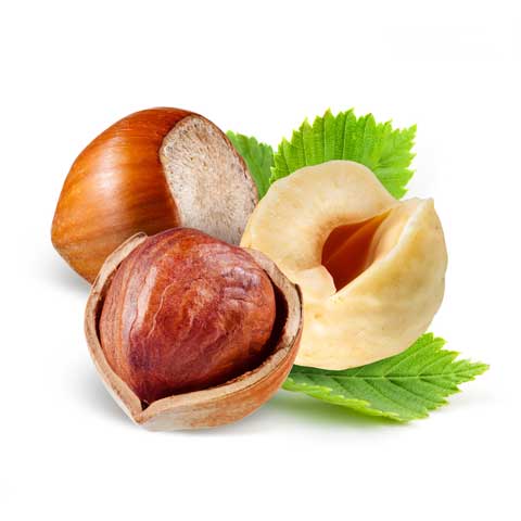 Nuts, hazelnuts or filberts, dry roasted, without salt added