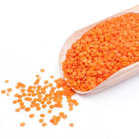 Lentils, pink or red, raw