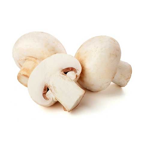 Mushrooms, white, cooked, boiled, drained, without salt