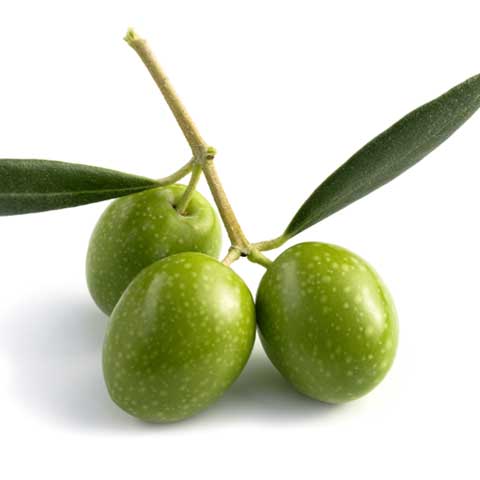 Olives, pickled, canned or bottled, green