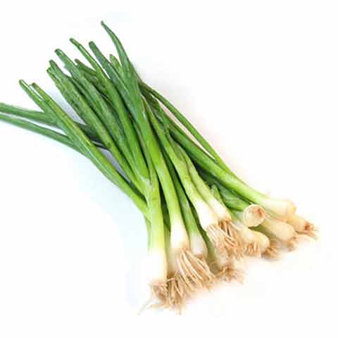 Onions, spring or scallions (includes tops and bulb), raw