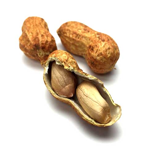 Peanuts, all types, dry-roasted, with salt