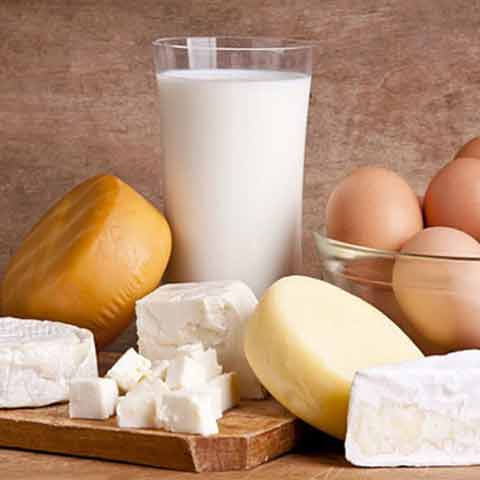 Dairy and Egg Products